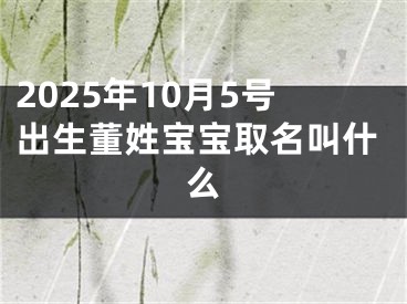 2025年10月5号出生董姓宝宝取名叫什么