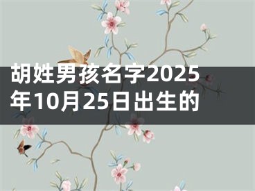 胡姓男孩名字2025年10月25日出生的