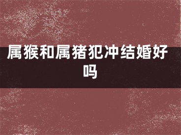 属猴和属猪犯冲结婚好吗