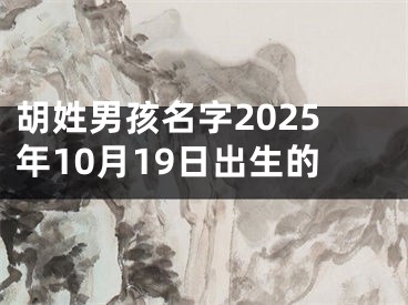 胡姓男孩名字2025年10月19日出生的