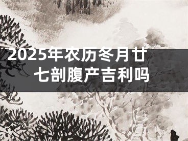 2025年农历冬月廿七剖腹产吉利吗