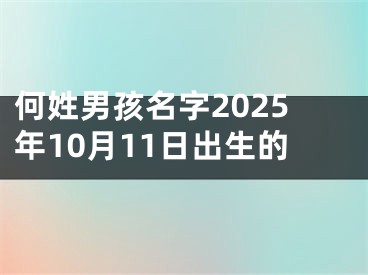 何姓男孩名字2025年10月11日出生的