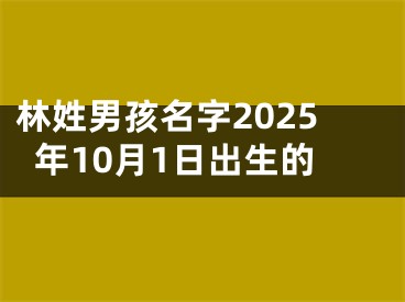 林姓男孩名字2025年10月1日出生的