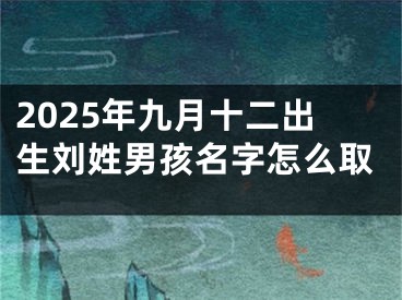 2025年九月十二出生刘姓男孩名字怎么取