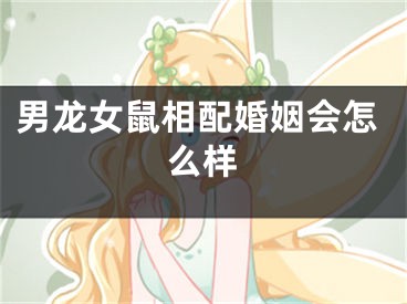 男龙女鼠相配婚姻会怎么样