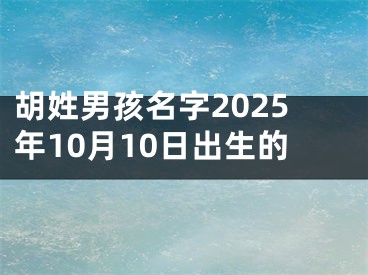 胡姓男孩名字2025年10月10日出生的