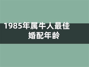 1985年属牛人最佳婚配年龄
