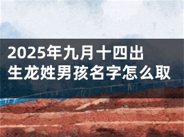 2025年九月十四出生龙姓男孩名字怎么取