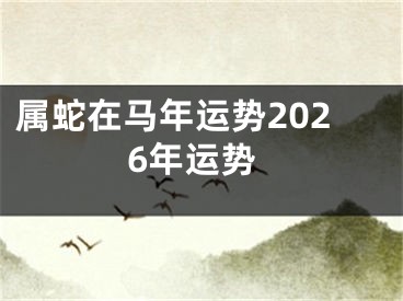 属蛇在马年运势2026年运势