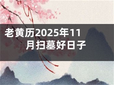 老黄历2025年11月扫墓好日子