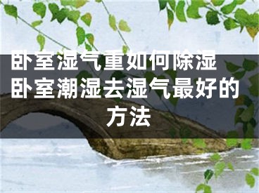 卧室湿气重如何除湿 卧室潮湿去湿气最好的方法