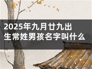 2025年九月廿九出生常姓男孩名字叫什么