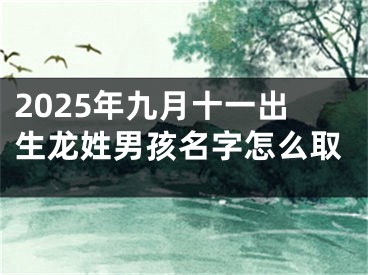 2025年九月十一出生龙姓男孩名字怎么取