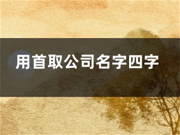 用首取公司名字四字
