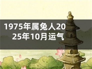 1975年属兔人2025年10月运气