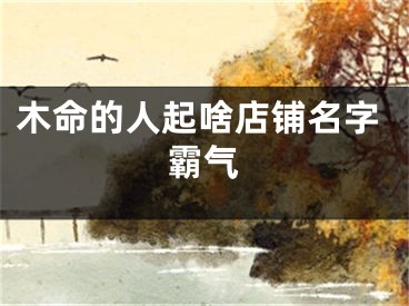 木命的人起啥店铺名字霸气