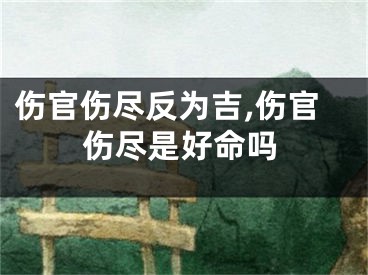 伤官伤尽反为吉,伤官伤尽是好命吗