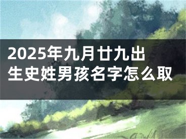 2025年九月廿九出生史姓男孩名字怎么取