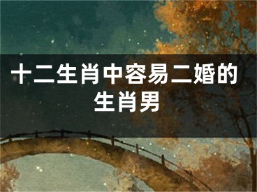 十二生肖中容易二婚的生肖男