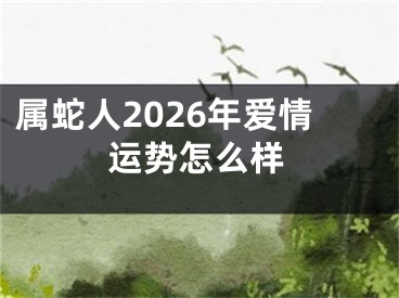 属蛇人2026年爱情运势怎么样
