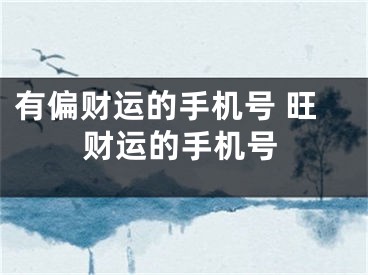 有偏财运的手机号 旺财运的手机号