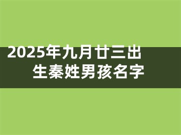 2025年九月廿三出生秦姓男孩名字