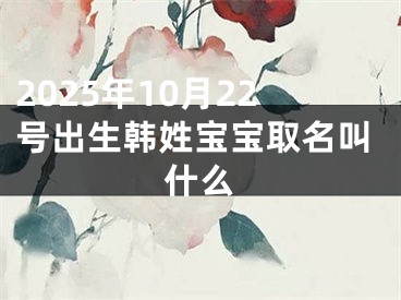 2025年10月22号出生韩姓宝宝取名叫什么