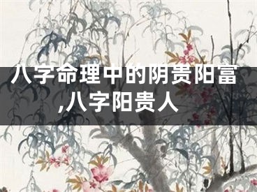 八字命理中的阴贵阳富,八字阳贵人