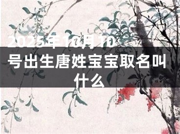 2025年10月10号出生唐姓宝宝取名叫什么
