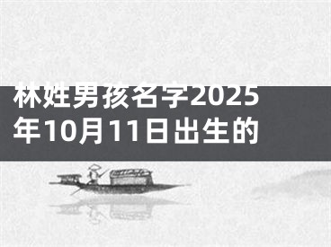 林姓男孩名字2025年10月11日出生的