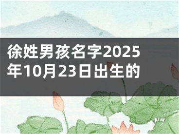 徐姓男孩名字2025年10月23日出生的