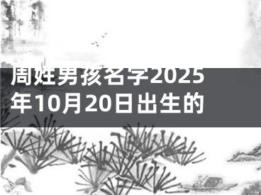 周姓男孩名字2025年10月20日出生的