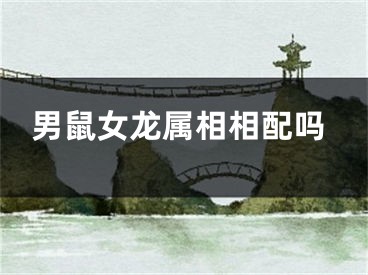 男鼠女龙属相相配吗