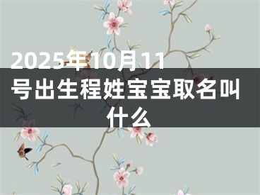 2025年10月11号出生程姓宝宝取名叫什么