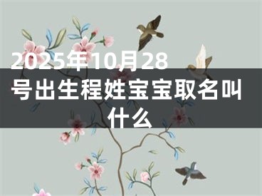 2025年10月28号出生程姓宝宝取名叫什么
