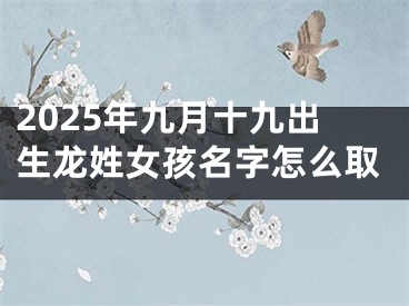 2025年九月十九出生龙姓女孩名字怎么取