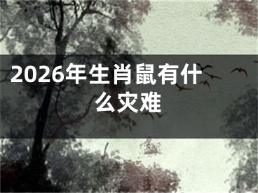 2026年生肖鼠有什么灾难