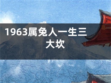 1963属兔人一生三大坎
