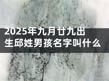 2025年九月廿九出生邱姓男孩名字叫什么