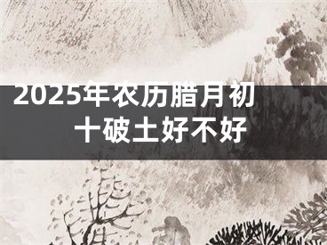 2025年农历腊月初十破土好不好