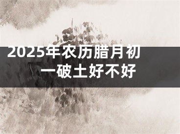 2025年农历腊月初一破土好不好