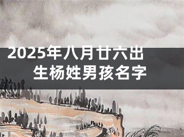 2025年八月廿六出生杨姓男孩名字
