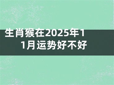 生肖猴在2025年11月运势好不好