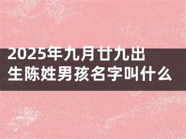 2025年九月廿九出生陈姓男孩名字叫什么
