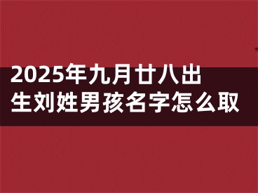 2025年九月廿八出生刘姓男孩名字怎么取