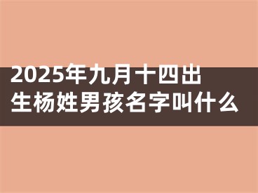 2025年九月十四出生杨姓男孩名字叫什么
