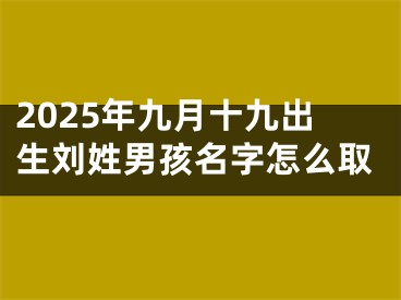 2025年九月十九出生刘姓男孩名字怎么取