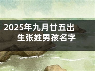 2025年九月廿五出生张姓男孩名字