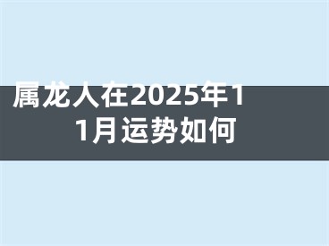 属龙人在2025年11月运势如何