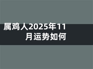 属鸡人2025年11月运势如何
